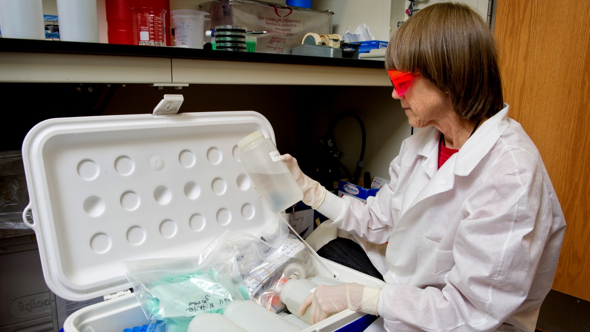 A laboratorian technician unpacks environmental samples for Legionella testing.