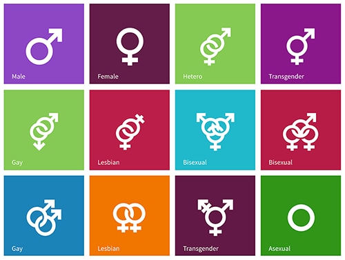 Transgender Persons Lesbian, Gay, Bisexual, and Transgender Health