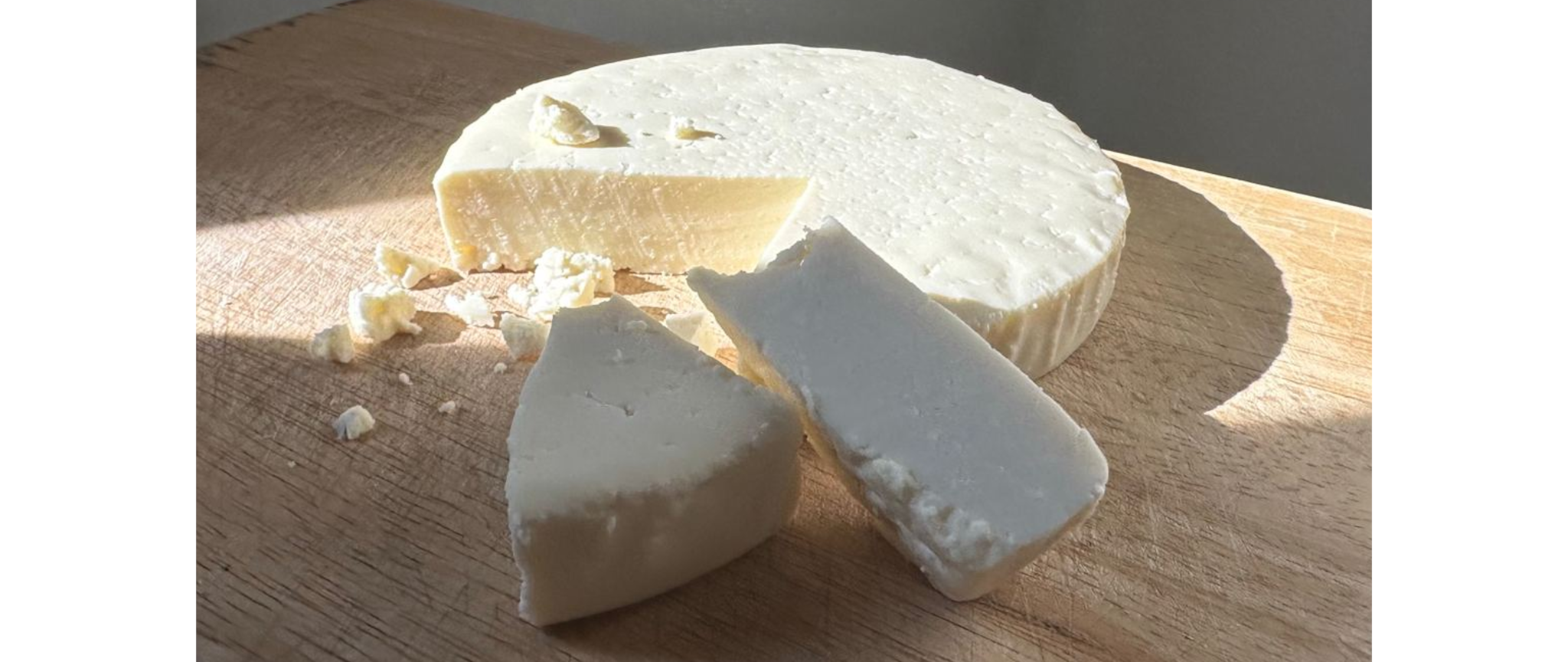 Listeria Outbreak Linked to Queso Fresco and Cotija Cheese February