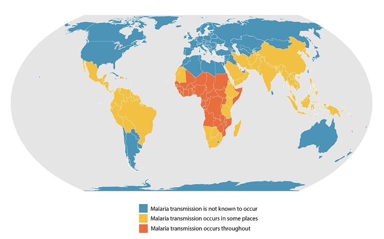 malaria geography case study