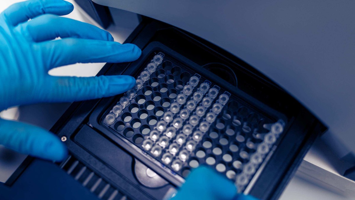 A technician uses a real-time PCR machine in a laboratory.