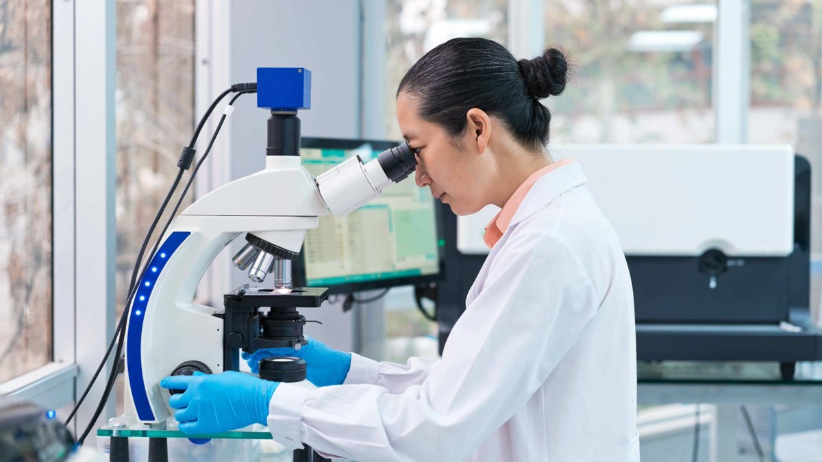 A scientist in a laboratory uses a microscope to analyze a blood smear.