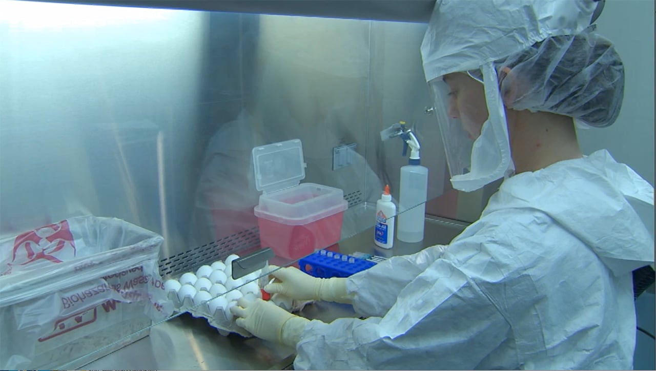 CDC worker in a lab