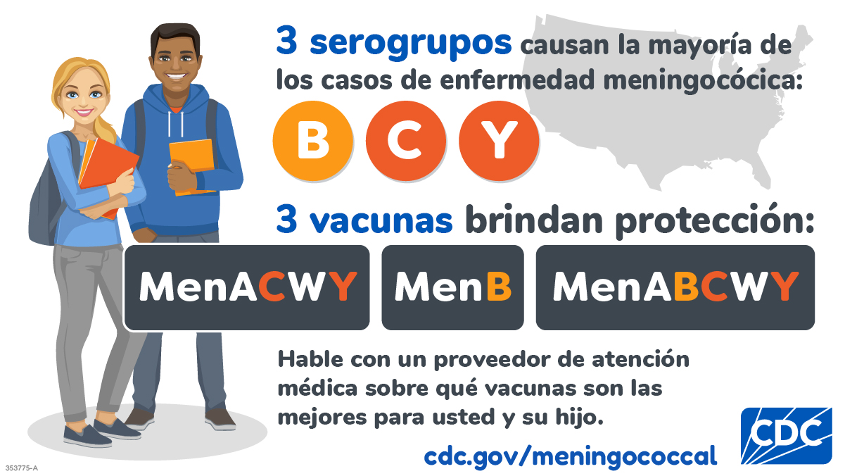 Tres serogrupos causan la mayoríade los casos de enfermedad meningocóca en los Estados Unidos: B, C e Y. Dos vacunas brindan protección: La vacuna MenACWY ayuda a proteger contra los serogrupos C e Y, mientras que la vacuna MenB ayuda a proteger contra el serogrupo B. Hable con quien le admnistre la vacuna sobre qué vacunas son las mejores para usted o su hijo o hija.