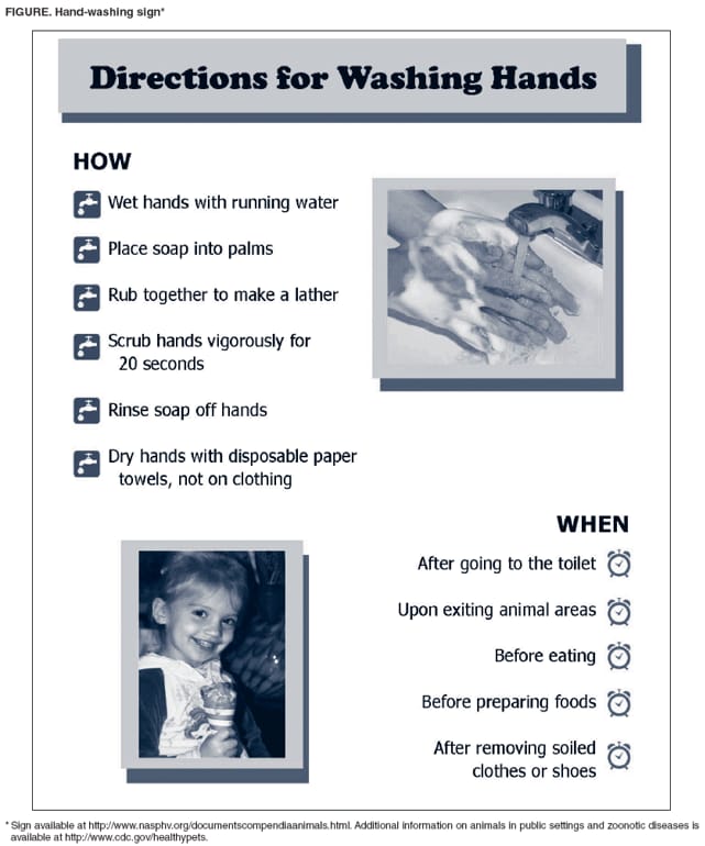 Directions for washing hands
How
Wet hands with running water
Place soap into palms
Rub together to make a lather
Scrub hands vigorously for 20 seconds
Rinse soap off hands
Dry hands with disposable paper towels, not on clothing
When
After going to the toilet
Upon exiting animal areas
Before eating
Before preparing foods
After removing soiled clothes or shoes