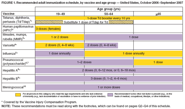 Recommended Adult Immunization Schedule United States October 2006 