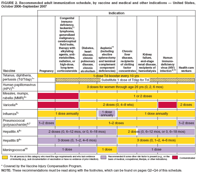 Recommended Adult Immunization Schedule United States October 2006 