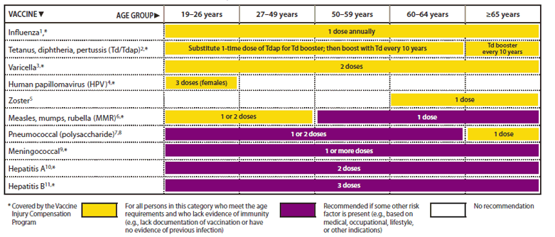 Recommended Adult Immunization Schedule United States 2011