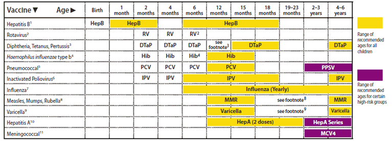 10 Printable Immunization Records Bank2home