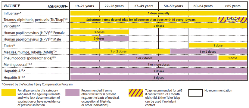 Varicella Vaccine Schedule In Adults Attra S Range Poultry Housing 