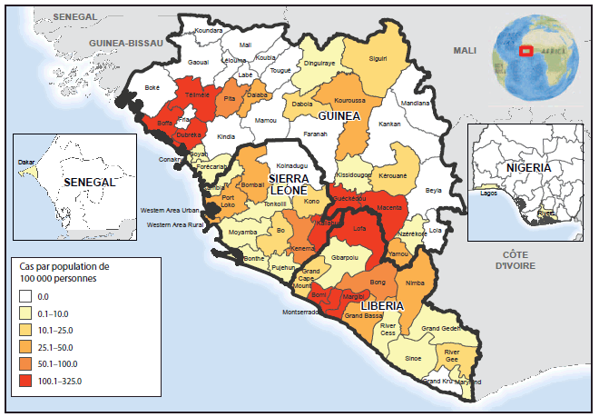 Texte alternatif : la figure ci-dessus est une carte de l’Afrique de l’Ouest illustrant l’incidence cumulée de maladie à virus Ébola à la date du 20 septembre 2014. La répartition géographique de l’incidence cumulée d’Ébola, à la date du 23 septembre, indique que l’incidence cumulée la plus élevée (> 100 cas pour une population de 100 000 personnes) a été identifiée dans cinq districts de Guinée (Boffa, Dubreka, Gueckedou, Macenta et Telimele), deux districts du Liberia (Loffa et Margibi) et deux districts de la Sierra Leone (Kailahun et Kenema).