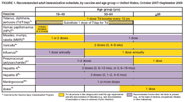 Recommended Adult Immunization Schedule --- United States, October 2007
