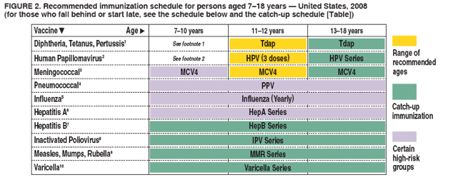 Immunization Schedules for Persons Aged 018