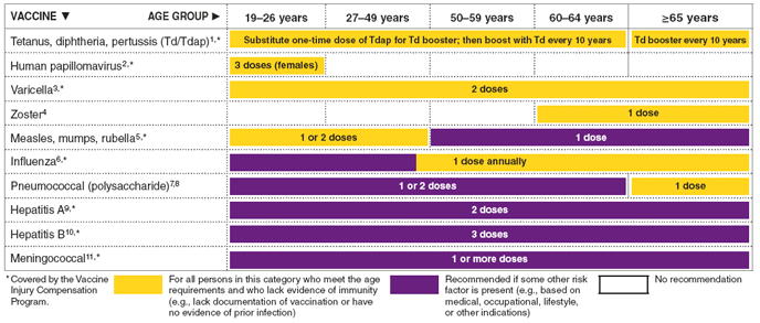 Recommended Adult Immunization Schedule United States 2010