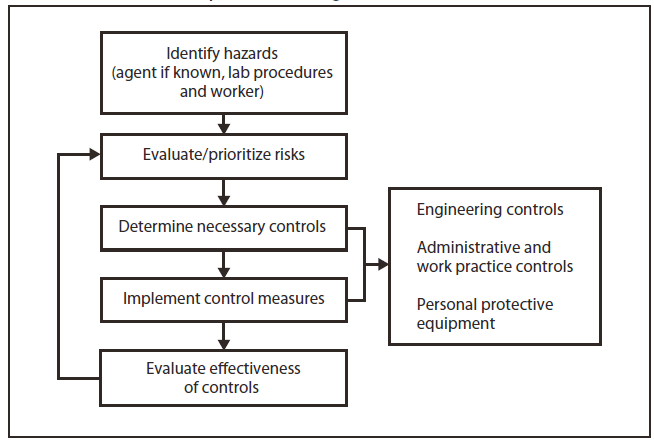 Pautas para prácticas laborales seguras en laboratorios de ... process flow diagram of reaction injection moulding 