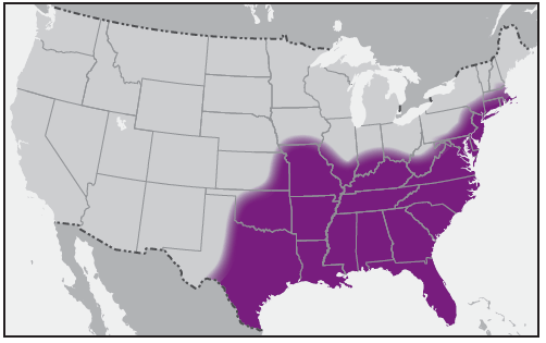 rr6502a1f13.gif This figure is a map showing the approximate U.S. distribution of Amblyomma americanum (lone star tick).