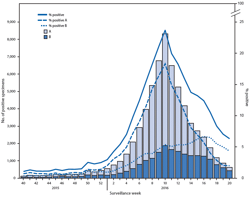m6522a3f2.gif The figure above is a histogram showing the number and percentage of respiratory specimens testing positive for influenza reported by clinical laboratories, by type and surveillance week, in the United States during the 2015–16 influenza season.