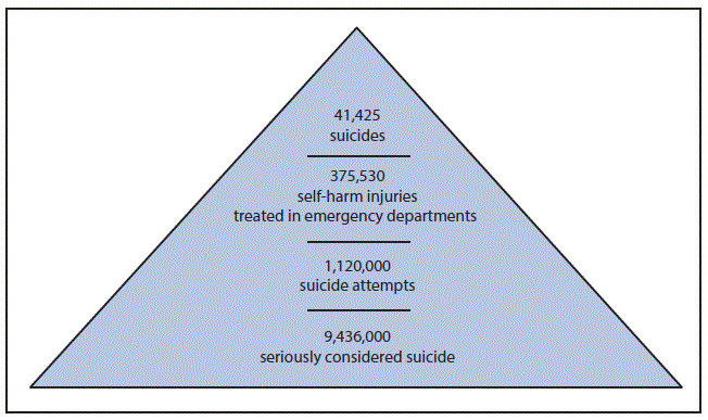 m6534a2f2.gif The figure above is a pyramid showing the reported number of adults aged ≥18 years who died by suicide, had self-harm injuries treated in emergency departments, attempted suicide, or seriously considered suicide in the United States during 2014.