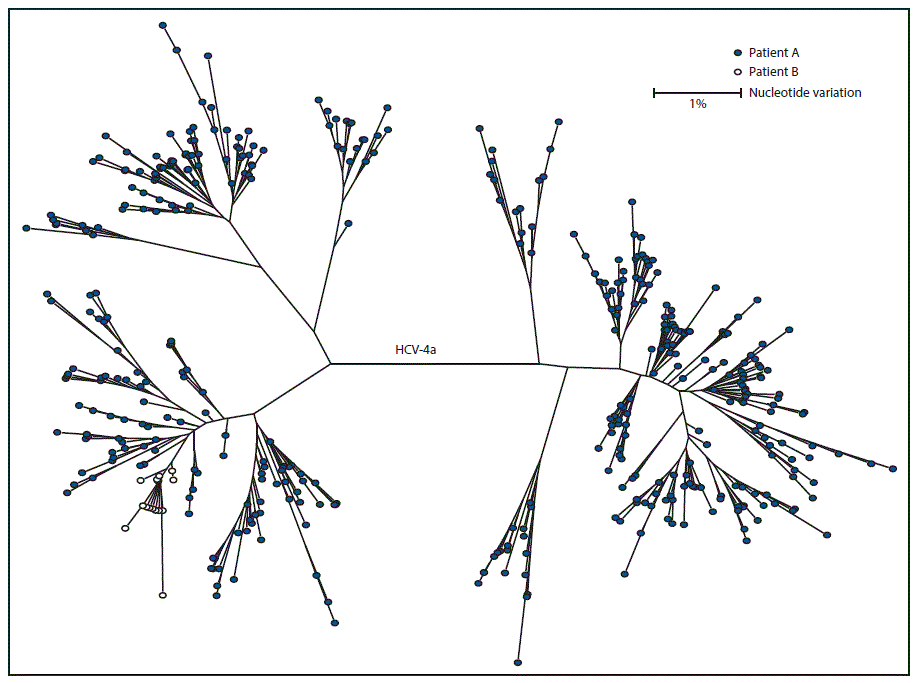 m6609a4f.gif The figure above is a diagram showing genotyping and molecular sequencing of hepatitis C virus specimens from two patients in an acute care general hospital in Texas during 2015.
