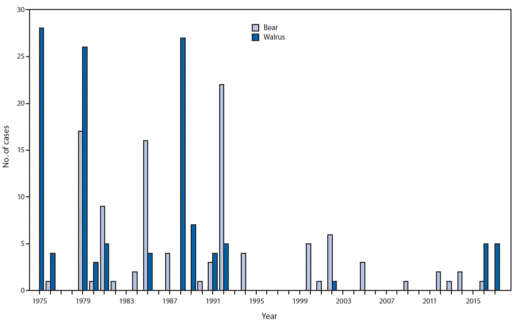m6626a3f2 The figure above is a bar chart showing the number of cases (N = 227) of trichinellosis associated with consumption of bear or walrus, by year in Alaska during 1975–2017.