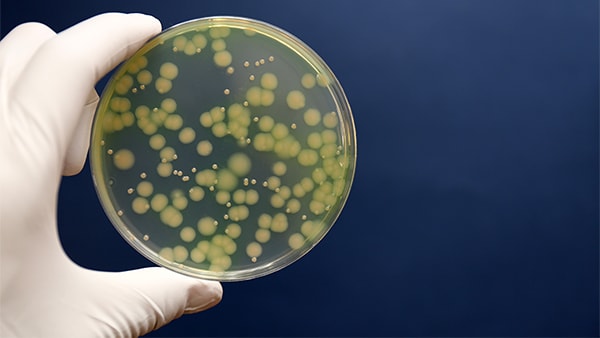 Notes from the Field: Verona Integron-Encoded Metallo-β-Lactamase ...