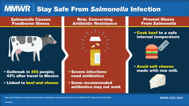 Outbreak of Salmonella Newport Infections with Decreased Susceptibility to Azithromycin Linked to Beef Obtained in the United States and Soft Cheese Obtained in Mexico — United States, 2018–2019 The visual abstract discusses a salmonella outbreak and offers information on how to prevent illness.