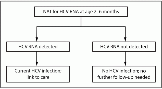 CDC Recommendations for Hepatitis C Testing Among Perinatally Exposed Infants and Children — United States, 2023 Figure is a flow chart illustrating the primary algorithm for hepatitis C virus testing of perinatally exposed children in the United States in 2023.
