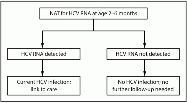 Figure is a flow chart illustrating the primary algorithm for hepatitis C virus testing of perinatally exposed children in the United States in 2023.