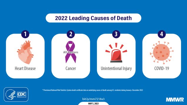 Provisional Mortality Data — United States, 2022 The figure is a graphic with illustrations representing the leading causes of death in 2022.