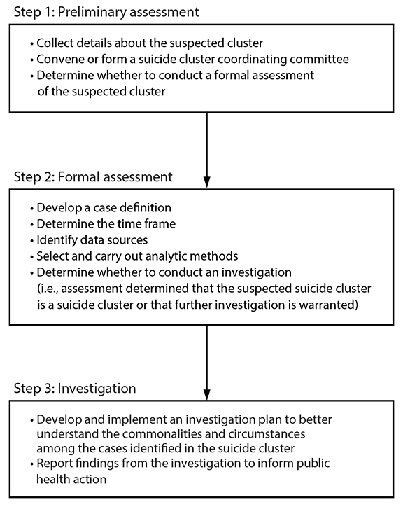 CDC Guidance for Community Assessment and Investigation of Suspected Suicide Clusters, United States, 2024 Figure 2 is a flowchart that illustrates the steps for assessing and investigating a suspected suicide cluster in the United States.