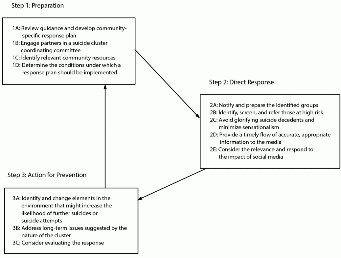 CDC Guidance for Community Response to Suicide Clusters, United States, 2024 Figure illustrates the steps in a community suicide cluster response according to CDC guidance updated in 2024. The steps are preparation, direct response, and action for prevention.