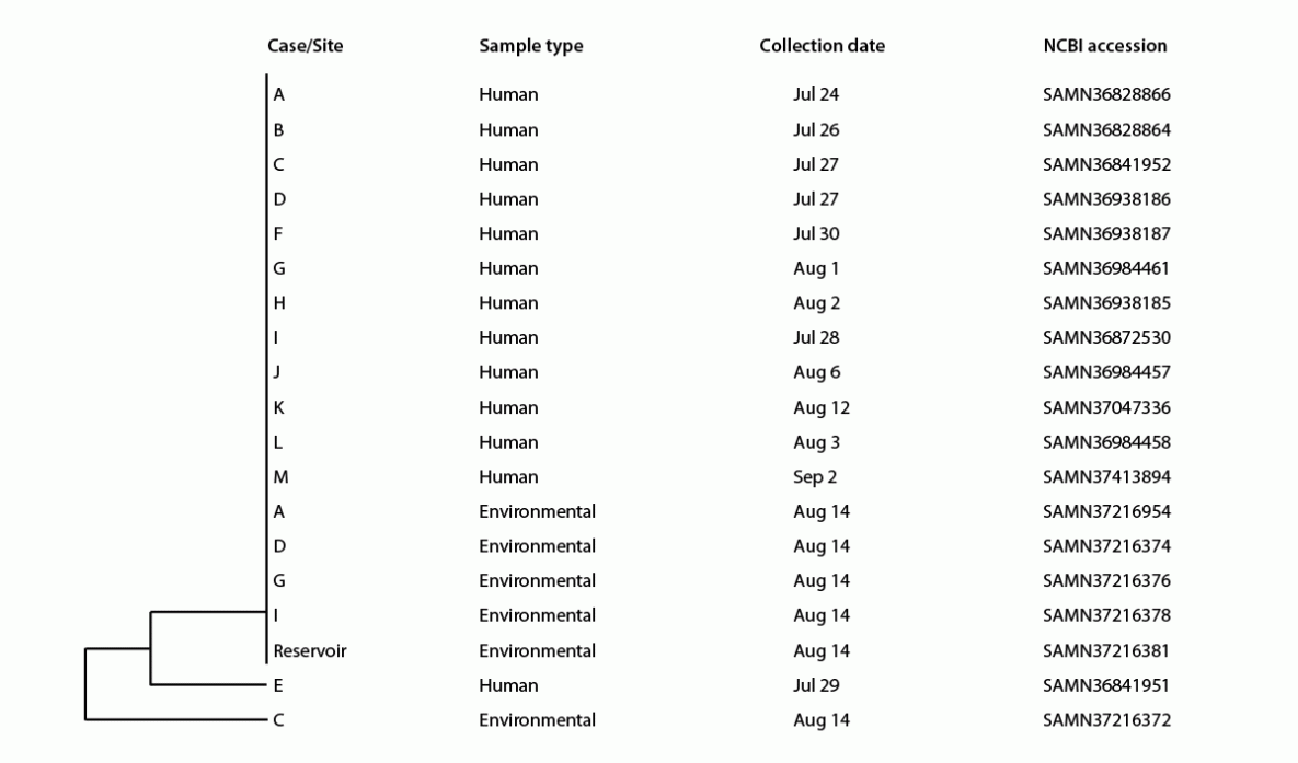 Shiga Toxin–Producing Escherichia coli O157:H7 Illness Outbreak Associated with Untreated, Pressurized, Municipal Irrigation Water — Utah, 2023 The figure is a dendrogram illustrating genetic relatedness of clinical and environmental isolates from samples collected during the outbreak investigation in a city in Utah during July–August 2023.