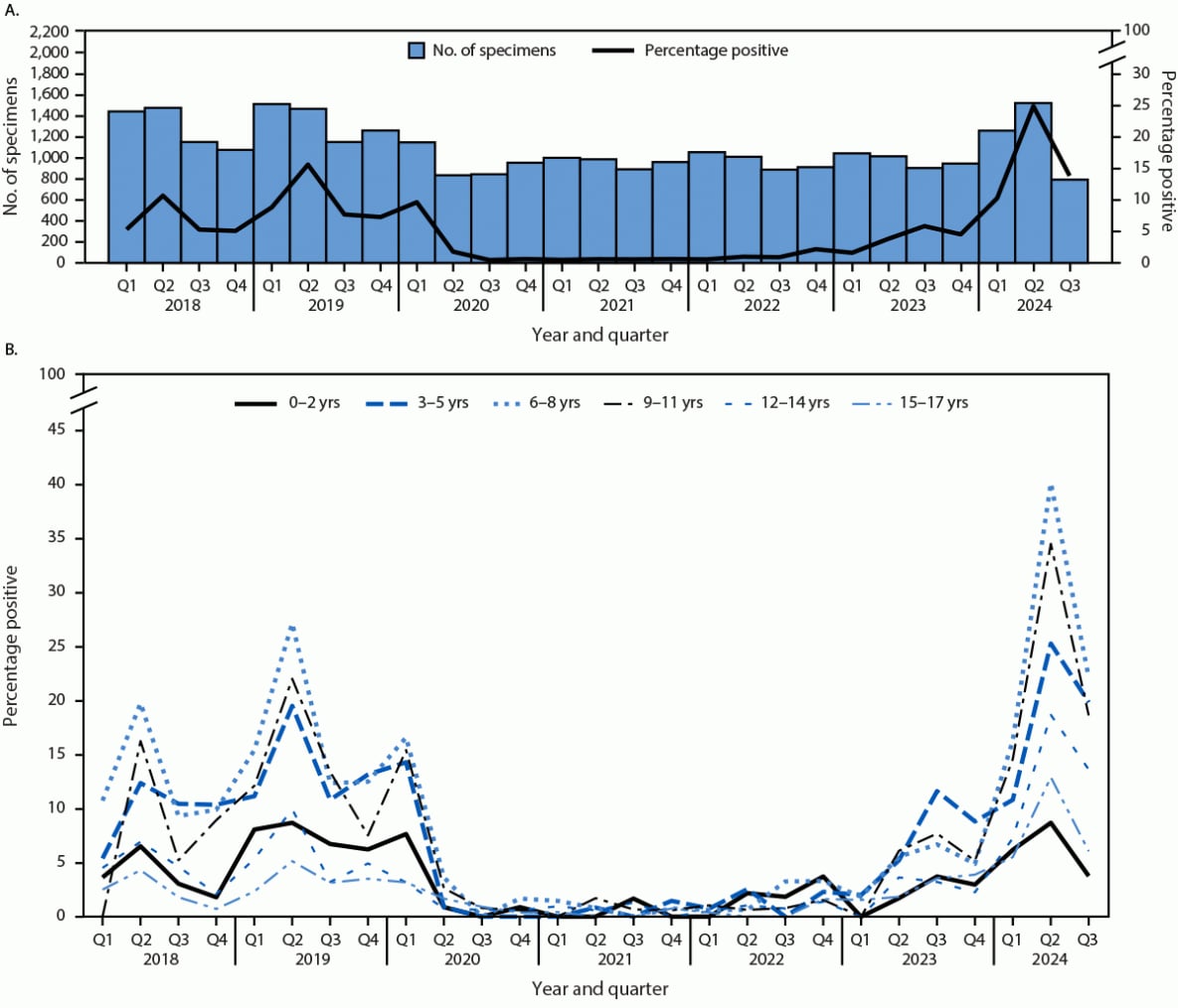 Detection of Increased Activity of Human Parvovirus B19 Using Commercial Laboratory Testing of Clinical Samples and Source Plasma Donor Pools — United States, 2024 The figure is a histogram illustrating the number of clinical human parvovirus B19 specimens tested for immunoglobulin M and a line graph illustrating the percentage of positive test results among children and adolescents aged <18 years, by quarter, and the percentage of positive test results, by age group and quarter in the United States during 2018–2024.