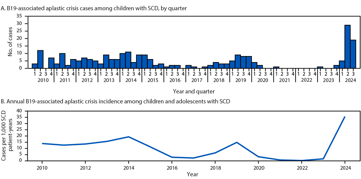 The figure is a series of two panels indicating annual parvovirus B19–associated aplastic crisis cases and incidence identified among children and adolescents with sickle cell disease at Children’s Healthcare of Atlanta in Atlanta, Georgia during January 1, 2010–September 30, 2024.