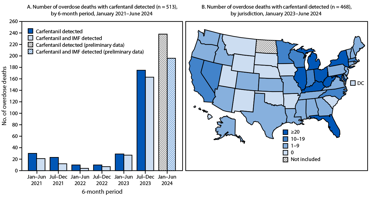 Detection of Illegally Manufactured Fentanyls and Carfentanil in Drug Overdose Deaths — United States, 2021–2024 The figure consists of two panels including a bar chart and map of the United States indicating the number of drug overdose deaths with carfentanil detected, by 6-month period of death and jurisdiction, in the United States during January 2021–June 2024 according to the State Unintentional Drug Overdose Reporting System.