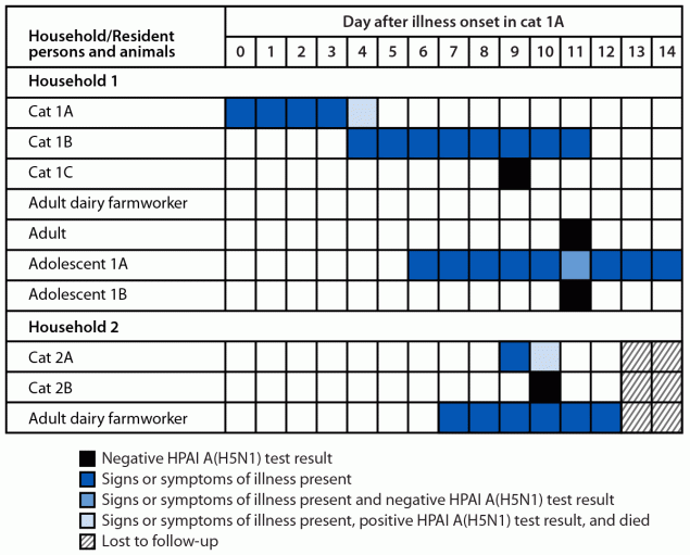Highly Pathogenic Avian Influenza A(H5N1) Virus Infection of Indoor Domestic Cats Within Dairy Industry Worker Households — Michigan, May 2024 Figure is a chart illustrating the testing, signs, and symptoms in cats and household members of domestic indoor cats infected with highly pathogenic avian influenza A(H5N1) virus, clade 2.3.4.4b genotype B3.13 (n = 2) in Michigan during 2024.