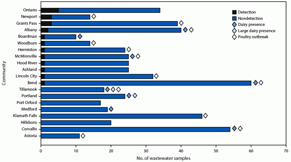 This figure is a histogram illustrating the number of wastewater samples tested for avian influenza A(H5), communities within a county that have experienced a highly pathogenic avian influenza A(H5) poultry outbreak, and sewershed dairy presence or large dairy presence in Oregon during September 15, 2021–July 11, 2024.