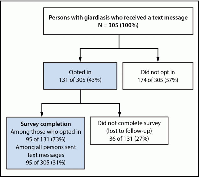Flowchart showing that among 305 persons in Colorado with giardiasis who received a text message to opt in to an online survey, 131 opted in, and of those, 95 completed the survey.
