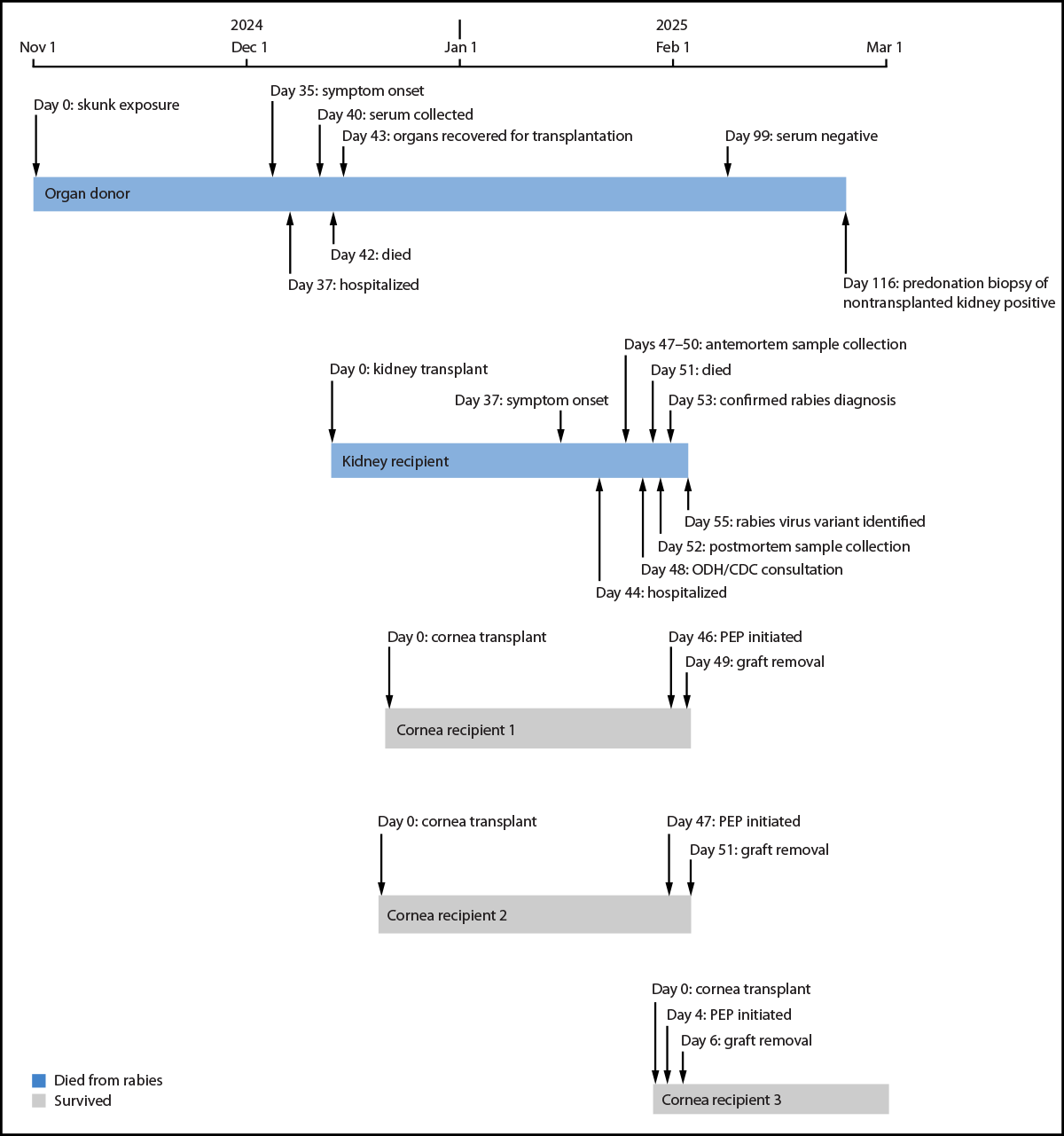 Human-to-Human Rabies Transmission via Solid Organ Transplantation from a Donor with Undiagnosed Rabies — United States, October 2024–February 2025 The figure is a timeline of clinical course, diagnostic testing, and investigation for a transplant-associated rabies case in the United States during February 2025.