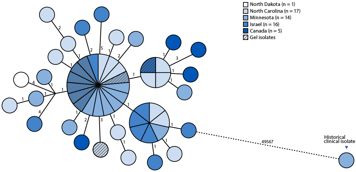 Detection of Paraburkholderia in Clinical Specimens Associated with Use of Nonsterile Ultrasound Gel for Percutaneous Procedures — United States, Canada, and Israel, May 2023⎯April 2025 The figure is a bar graph illustrating the number of patients with genetically linked Paraburkholderia spp. isolated from clinical cultures, by date of initial specimen collection in Minnesota, North Carolina, North Dakota, Canada, and Israel during May 2023–April 2025.