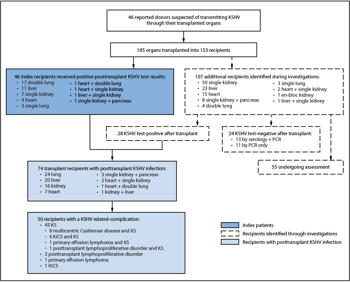 Kaposi Sarcoma–Associated Herpesvirus Infection and Complications Among Solid Organ Transplant Recipients — United States, January 2021–September 2025 The figure a flowchart describing reports of organ donor–derived Kaposi sarcoma–associated herpesvirus among 46 transplant recipients and investigation of additional recipients in the United States during January 2021–September 2025.