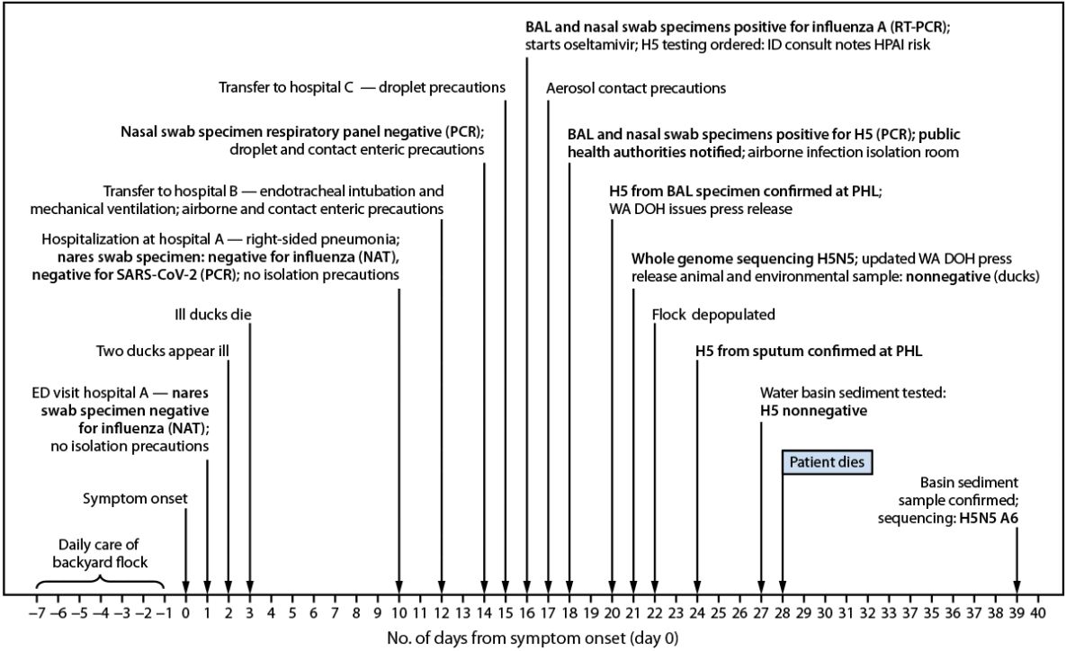 The figure is a timeline of events for a fatal human case of avian influenza A(H5N5) in a backyard flock owner in Washington during November 2025.