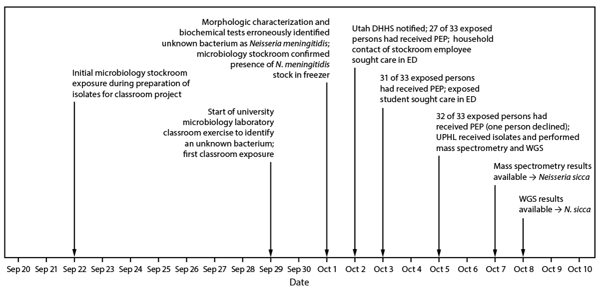 The figure is a timeline of potential Neisseria meningitidis in a Utah classroom laboratory exposure and response during September&ndash;October 2025.