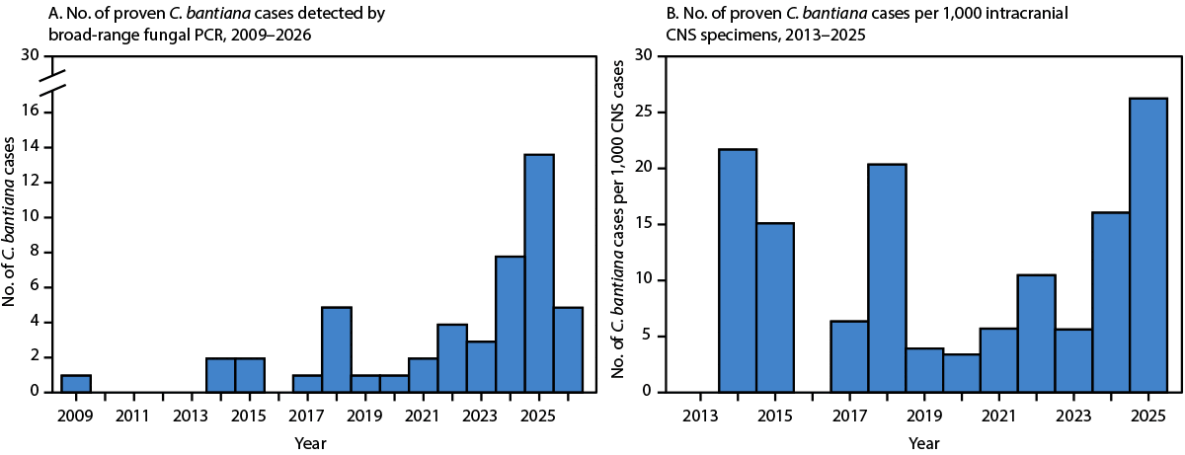 Notes from the Field: Molecular Detections of Cladophialophora bantiana at a Clinical Reference Laboratory — United States, 2009–2026 The figure comprises two histograms depicting the number of proven Cladophialophora bantiana cases detected by broad-range fungal polymerase chain reaction, and the number of C. bantiana cases per 1,000 intracranial central nervous system specimens submitted for the same assay, by year, in the United States during January 2009–July 2026.