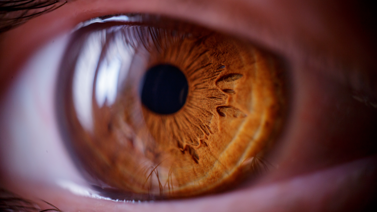 The image shows a close-up shot of an eye that&rsquo;s brown.