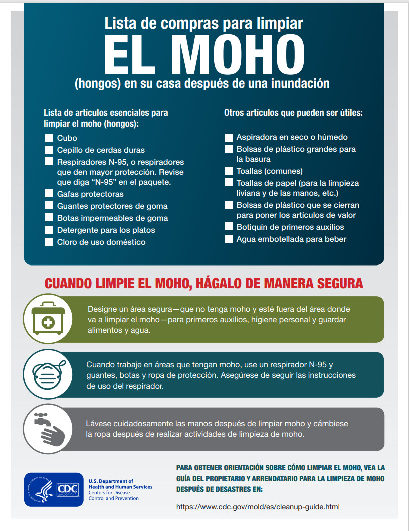 lista de compras para la limpieza de moho Lista de compras para la limpieza del moho después de una inundación
