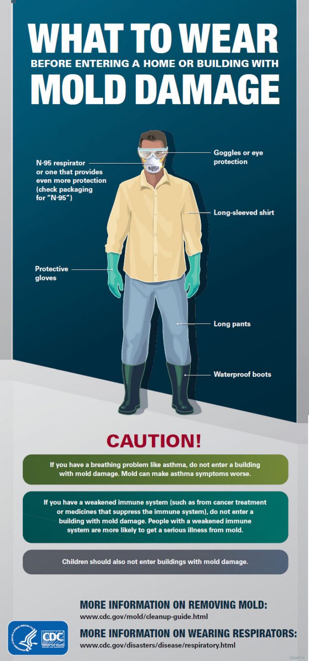 What to Wear Before Entering a Home or Building with Mold Damage