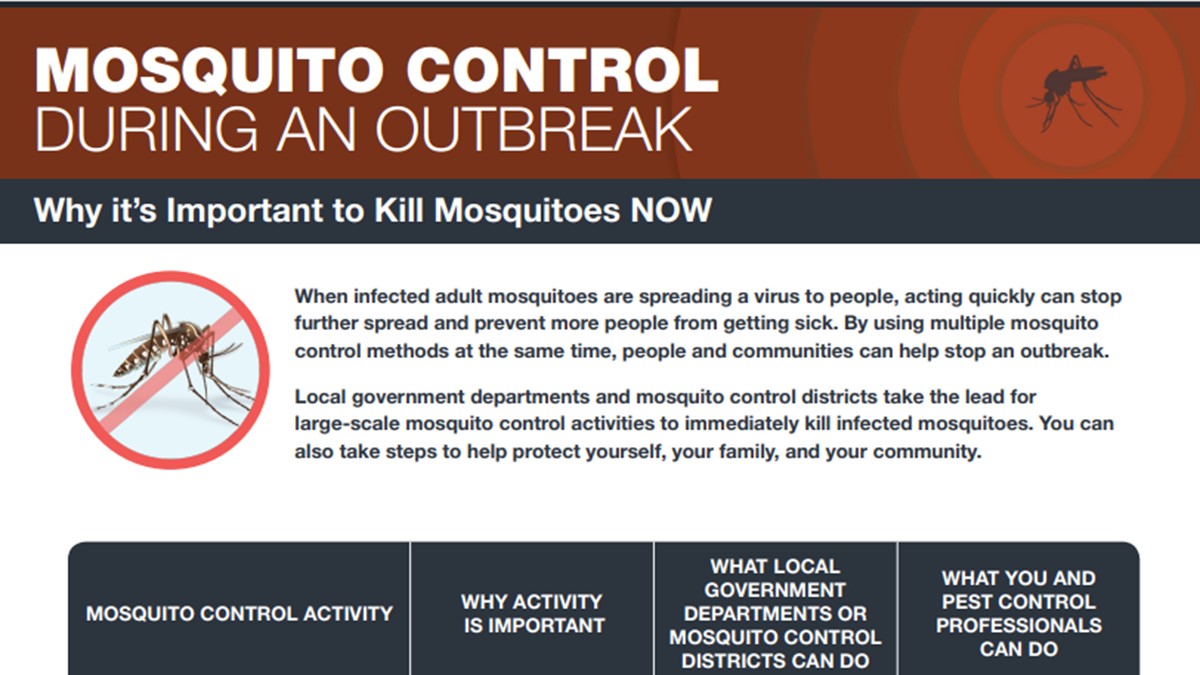Art for Mosquito Control During an Outbreak