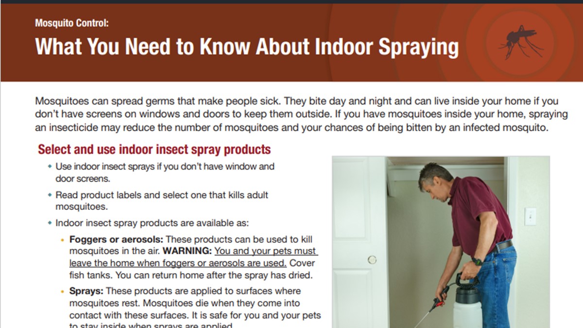 Art for Mosquito Control What you Need to Know About Indoor Spraying