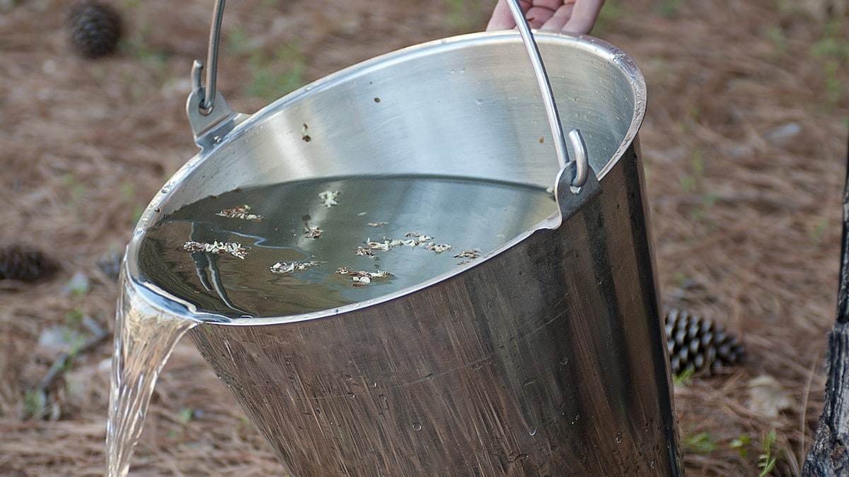 Foto que muestra una persona botando agua estancada para eliminar los lugares donde los mosquitos ponen huevos.